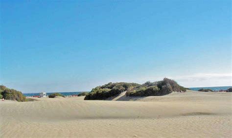 Dunes of Maspalomas and LGBTQ+ Nude Beach